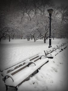 Snow on Park Bench