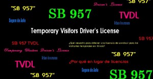 SB 957 Temporary drivers license Illinois